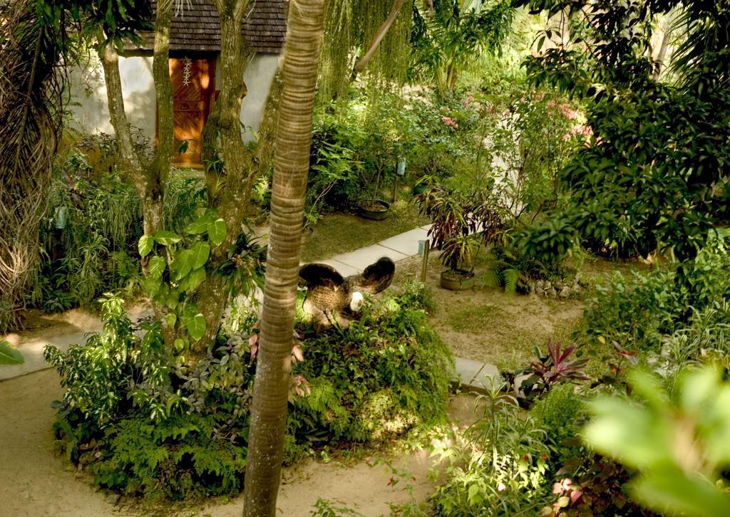 Whistling Bird Hotel Negril Zewnętrze zdjęcie