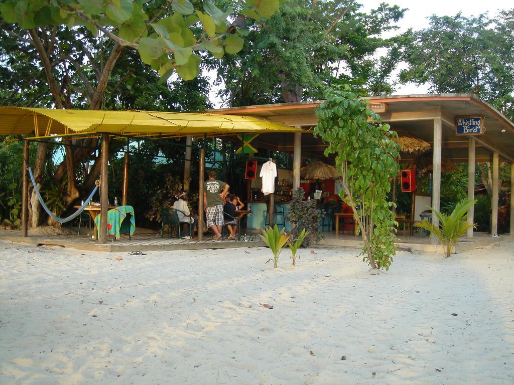 Whistling Bird Hotel Negril Zewnętrze zdjęcie