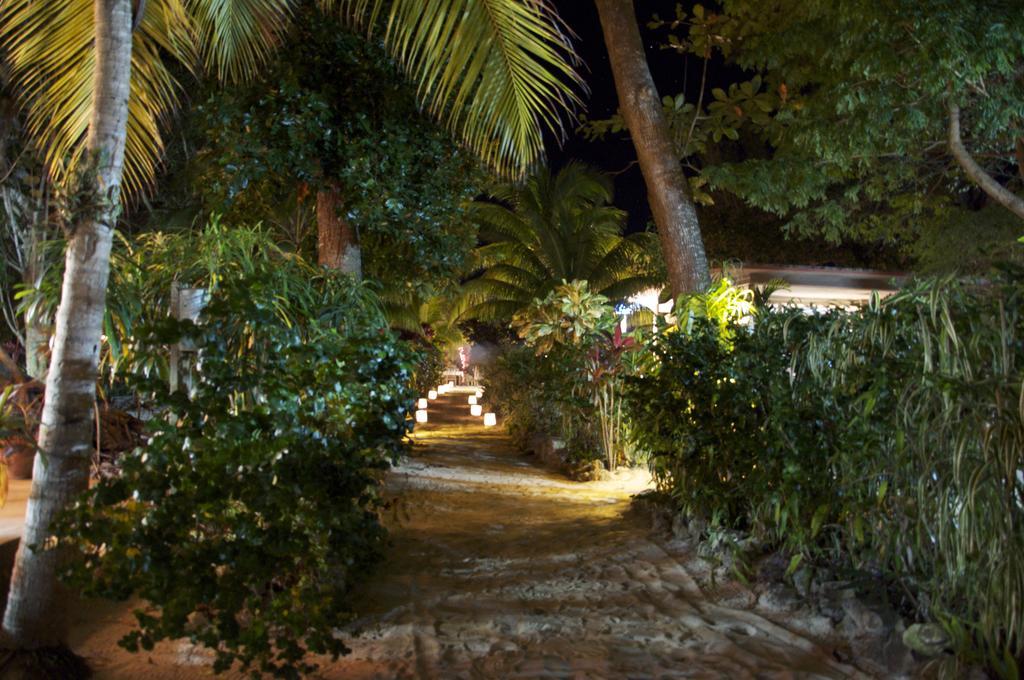 Whistling Bird Hotel Negril Zewnętrze zdjęcie