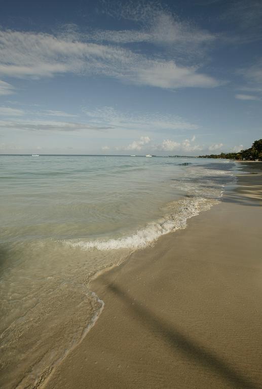 Whistling Bird Hotel Negril Zewnętrze zdjęcie